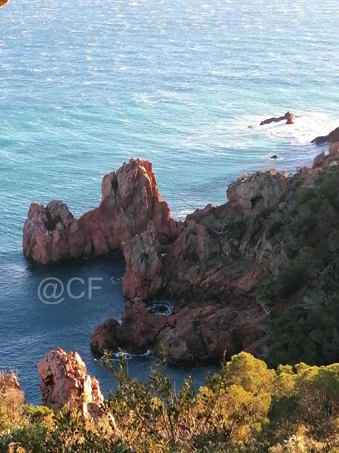 Appartamento Golfs De Valescure 9